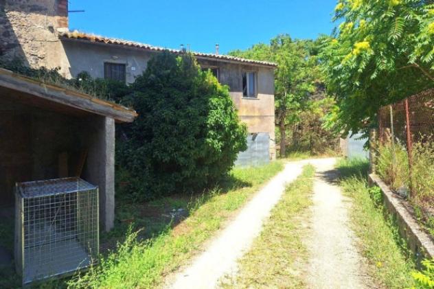 Immobile in asta di 130 m² con più di 5 locali in vendita a Orvieto - Foto 5