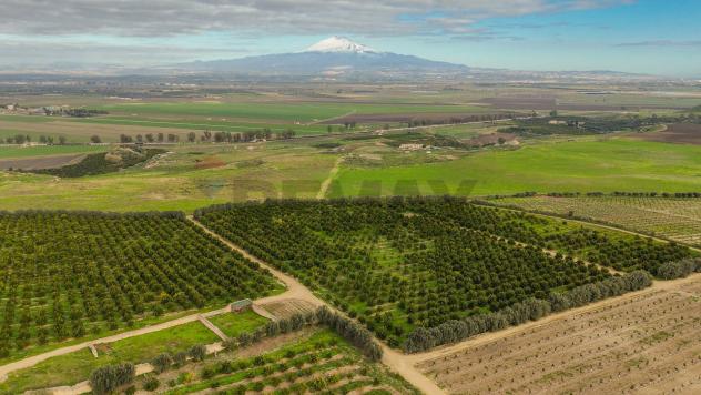 Terreno in vendita a Lentini - Foto 18