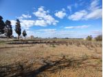 Terreno in zona P.I.P.