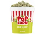 Lime Cookie Popcorn