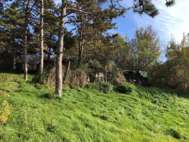 Immobile in asta di 272 m² in vendita a Gubbio - Foto 4