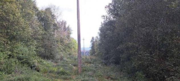 Immobile in asta di 165 m² in vendita a Monteriggioni - Foto 9