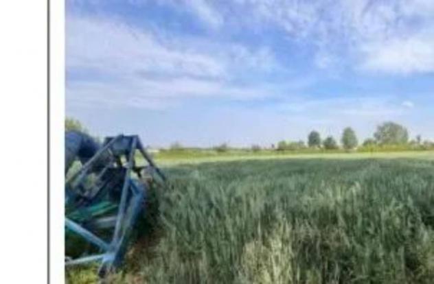Immobile in asta di 60550 m² in vendita a Remedello - Foto 8