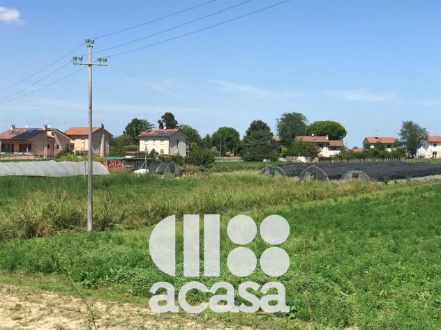 TERRENO AGRICOLO CON POZZO ARTESIANO - Foto 8