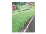 3744/2024 2 BG - Terreno all'asta a Roncola Bassa