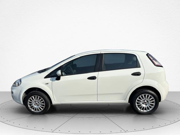 FIAT Punto Punto 1.4 8V 5 porte Natural Power Street - Foto 7