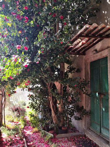 villa del 1800 vicino a Chiavari - Foto 4