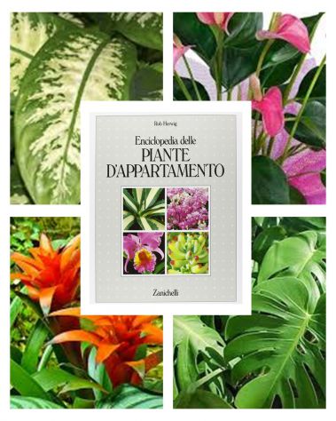 Enciclopedia delle PIANTE D'APPARTAMENTO, Rob Herwig, Zanichelli 1987.