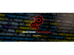 Web Developer, Esperto informatico, Programmatore