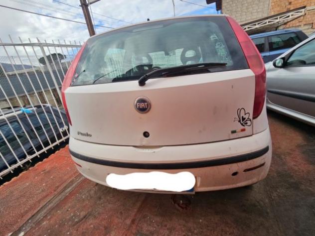 FIAT Punto 1.2 5 porte Active Natural Power rif. 20697891 - Foto 3