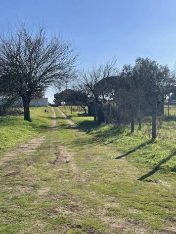 Terreno Agricolo - Terracina . Rif.: Cod. rif 3144840VCG - Foto 5