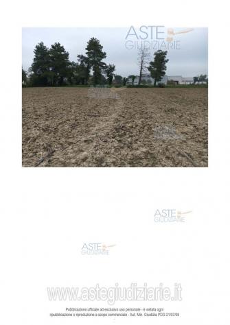 IMMOBILI-ALTRA CATEGORIA-Via Santa Maria Apparve, 60010 Ostra AN, Italia - Foto 8