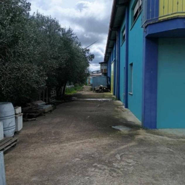 Immobile in asta di 1323 m² in vendita a Marrubiu - Foto 4