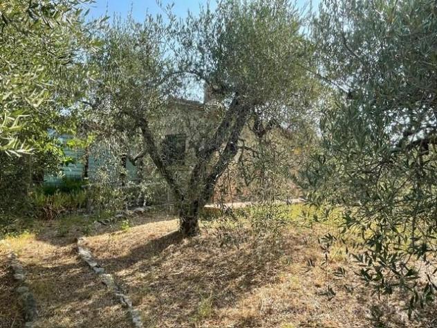 Fienile in vendita a Casale Marittimo 20 mq Rif: 1445256 - Foto 3