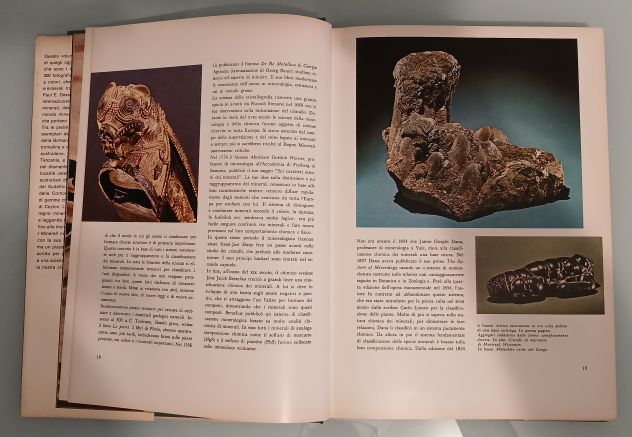 I MINERALI di Paul E. Desautels, Mondadori 1972. - Foto 4