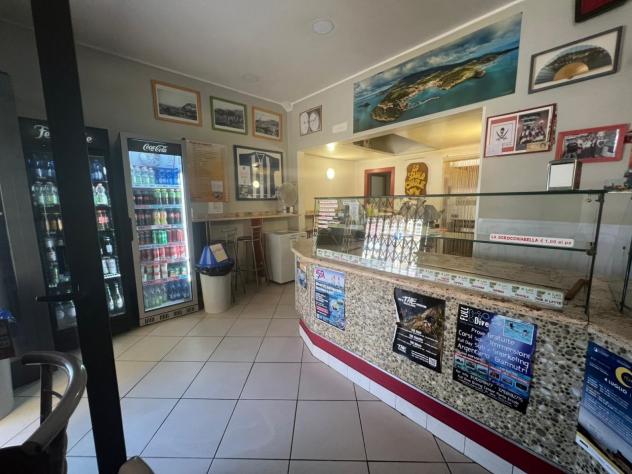 Pizza a Taglio in vendita a Monte Argentario - Foto 7