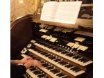 Organista a Pavia (matrimoni funerali concerti)