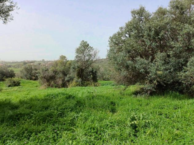 Agricolo in Via Casale dell'Oliveto - Foto 7