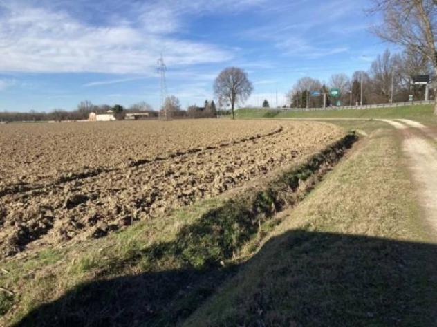 Immobile in asta di 43964 m² in vendita a Cremona - Foto 5