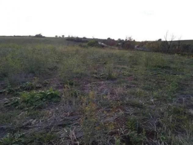 Immobile in asta di 281311 m² in vendita a Guidonia Montecelio - Foto 4