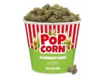 Cannatonic Popcorn