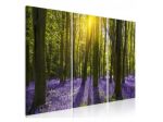 Quadro Foresta Viola 90x60 E 120x80 ARREDALACASA