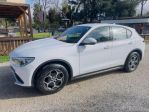 Alfa Romeo Stelvio 2.2 TD 190 CV Super Business AT8 Q4 12MESI DI GARANZIA I &hellip;