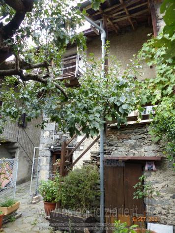 IMMOBILI-IMMOBILE RESIDENZIALE-Via Motterello, 2, 28817 Miazzina VB, Italia - Foto 6