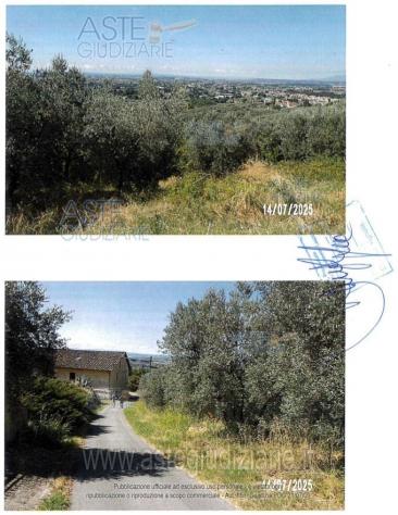 IMMOBILI-ALTRA CATEGORIA-Via di Capalle, 51035 Lamporecchio PT, Italia - Foto 6