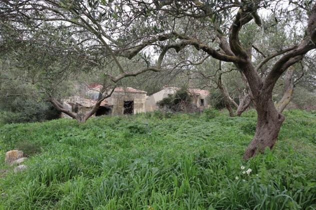 Cascina/Casale in vendita a Ragusa, Americhe - Foto 8