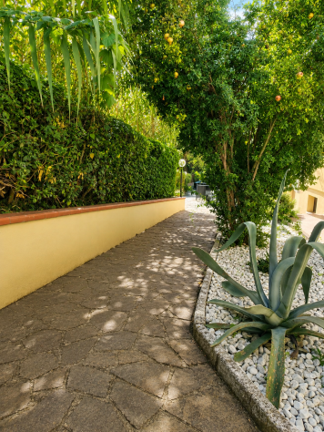 Appartamento in vendita a Castiglioncello - Rosignano Marittimo 40 mq Rif: 1432633