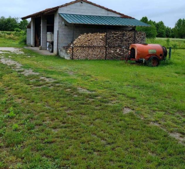 Immobile in asta di 6200 m² in vendita a Azzano Decimo - Foto 3