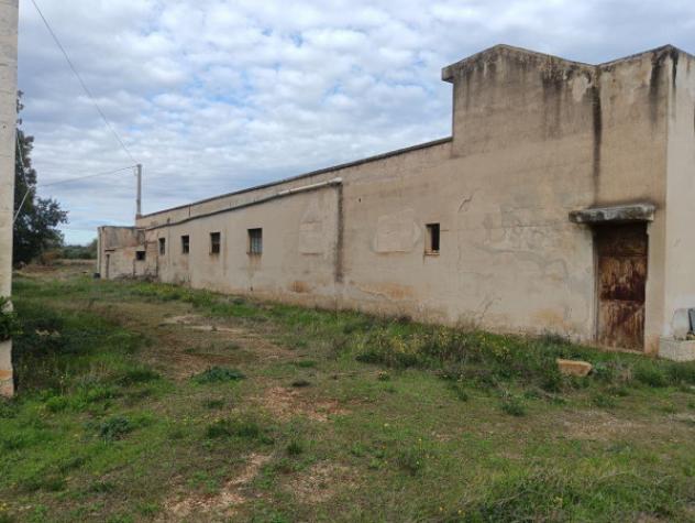 Immobile in asta di 418 m² in vendita a Sannicandro di Bari - Foto 5
