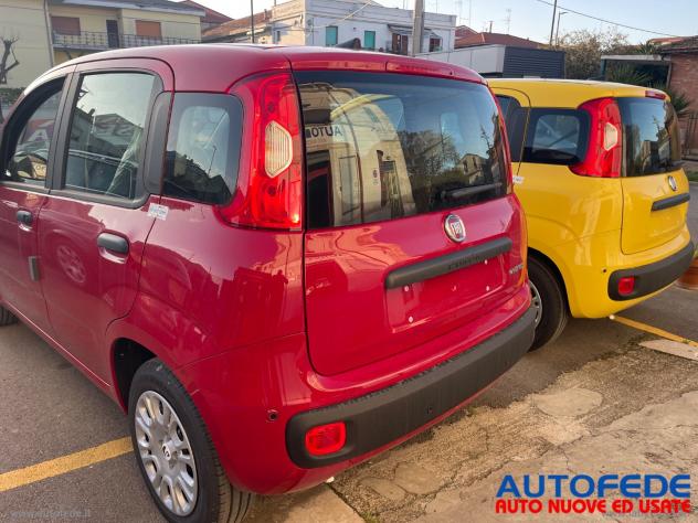 FIAT Pandina 1.0 Hybrid 65 CV Van Icon - Foto 10