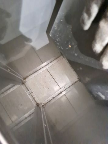 2 pattumiere inox coperchio "semprechiuso" usati - Foto 3