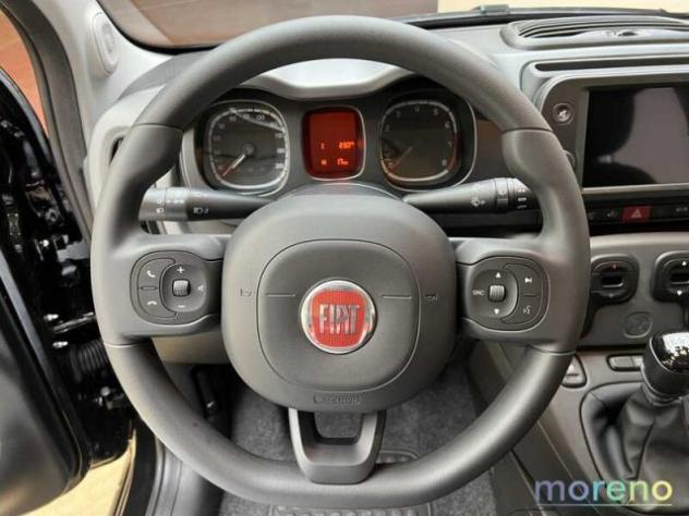 FIAT Panda 1.0 firefly 70 CV hybrid City Cross s&s TECH PLUS rif. 19168971 - Foto 6