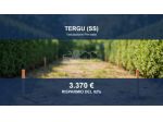 Immobile in asta di 53 m² in vendita a Tergu