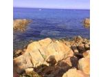 B&B Giglio di Mare
