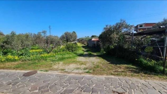 Immobile in asta di 2216 m² in vendita a Portigliola - Foto 2