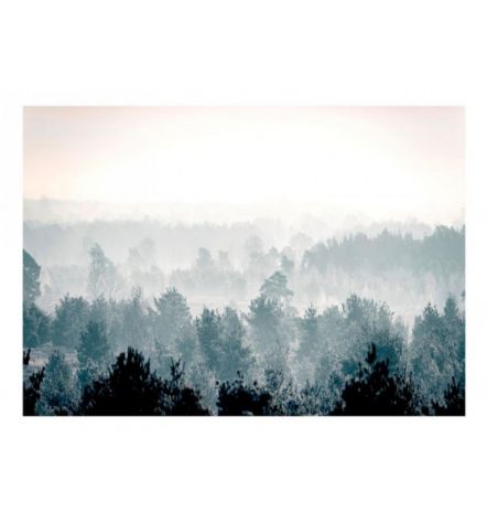 Fotomurale Adesivo Nella Foresta Invernale Arredalacasa - Foto 2