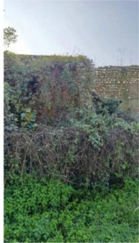 Immobile in asta di 1691 m² in vendita a Fara Gera d'Adda - Foto 7
