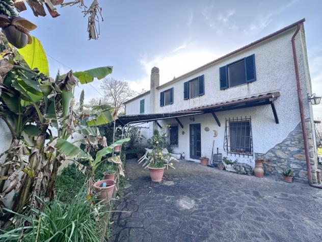 immagine annuncio 0 di 5