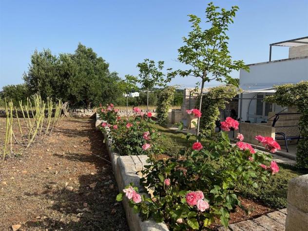 Masseria Poesia - Foto 19