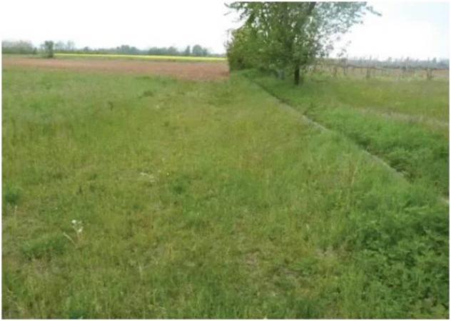 Immobile in asta di 29838 m² in vendita a Paese - Foto 9