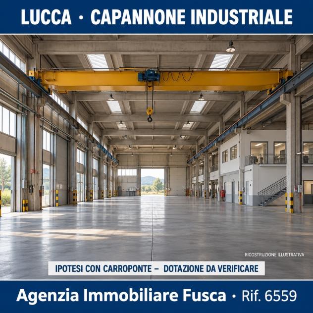 Industriale/Artigianale in vendita a Lucca - Foto 19