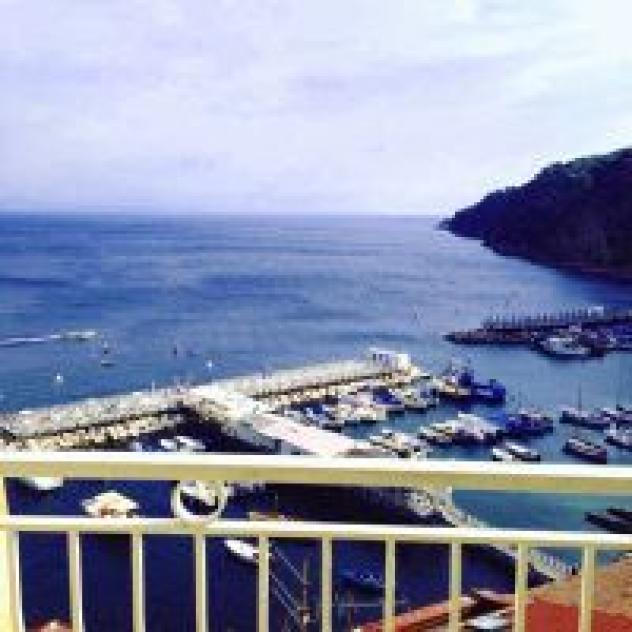 Coltur S.r.l. - Foto 4