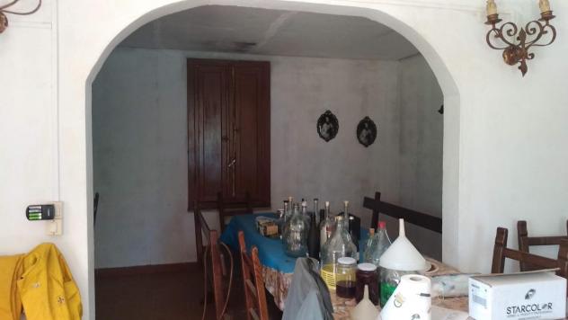 Terreno edif. residenziale in vendita a Paganico - Civitella Paganico 50000 mq Rif: 1072899 - Foto 5