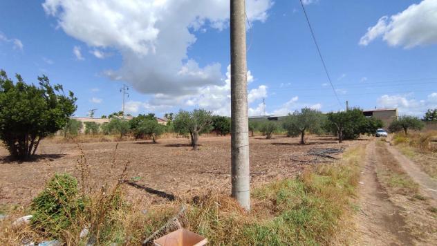 Terreno Agricolo - San Severo . Rif.: Cod. rif 3294216VCG - Foto 12