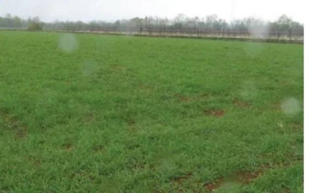 Immobile in asta di 13090 m² in vendita a Paese - Foto 2