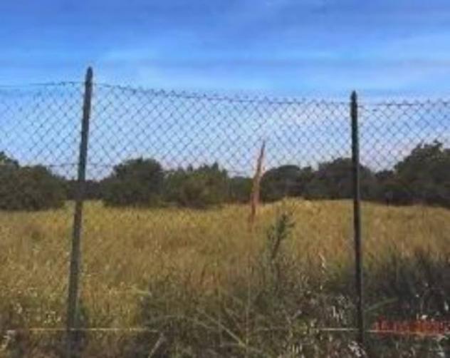 Immobile in asta di 24382 m² in vendita a Spoltore - Foto 3